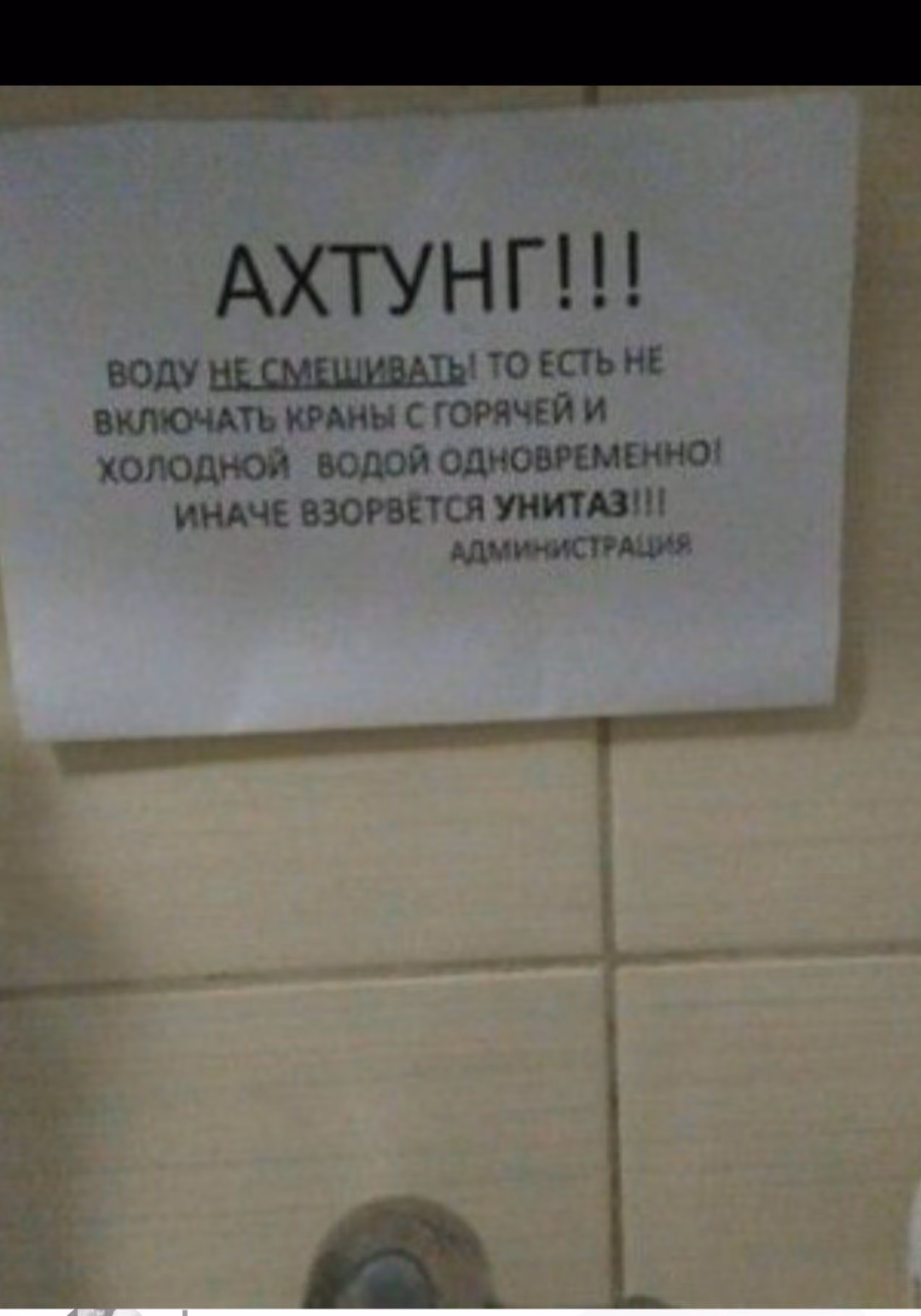 81472581e335983a86ac63d3dffb4202.avif