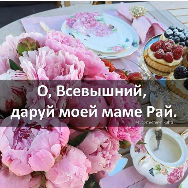 81517e3e040e9bea98f886fe4d055e60.avif