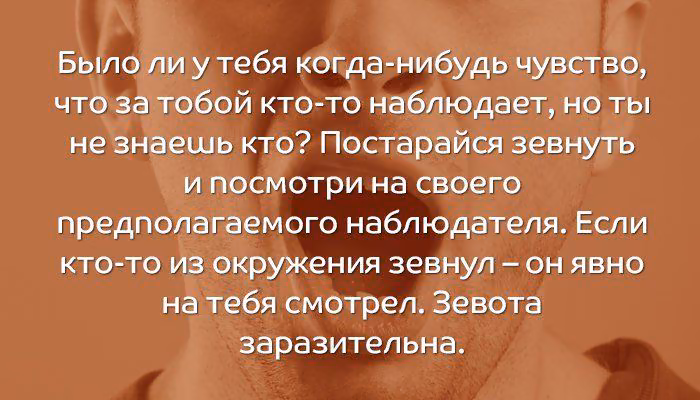 8160dcd875fa971db38f37115cc9ae1a.avif