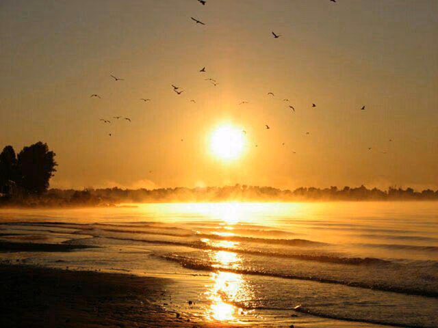 8163abed55a2bd6a1508dfea718d9762.avif