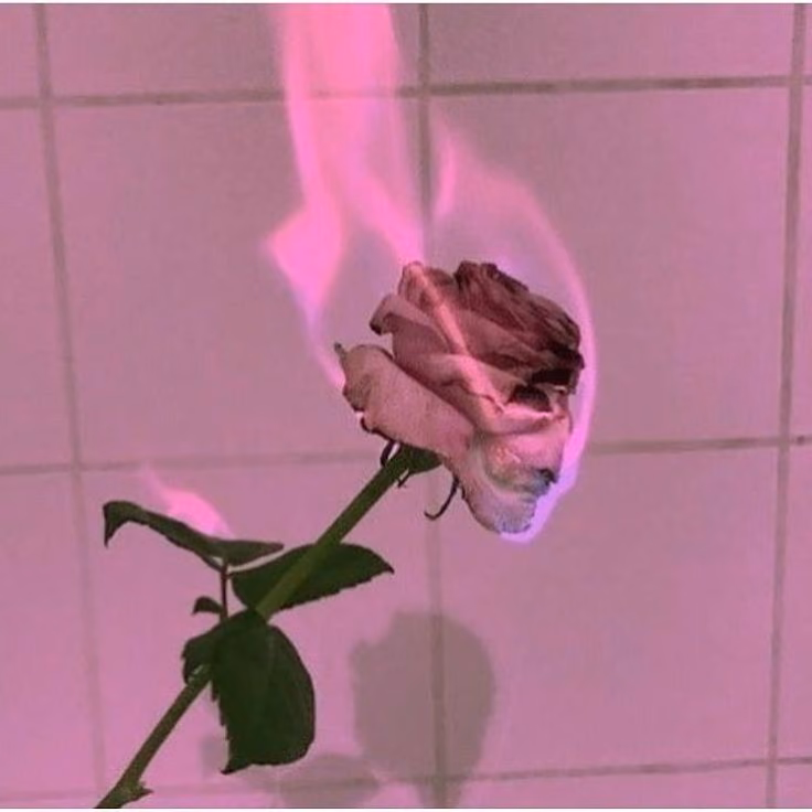 816e7de6301e99b2aaebea1d7f58a247.jpg