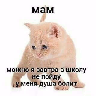 8183d4df133d9d15ad9ff996f86d17dd.jpg