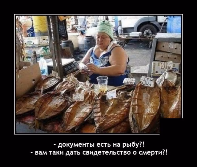819506bb356f1048b54cd7322acc5a51.jpg