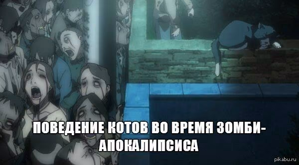 819ae99998abd4d91bb9fb6e81a4ef28.jpg