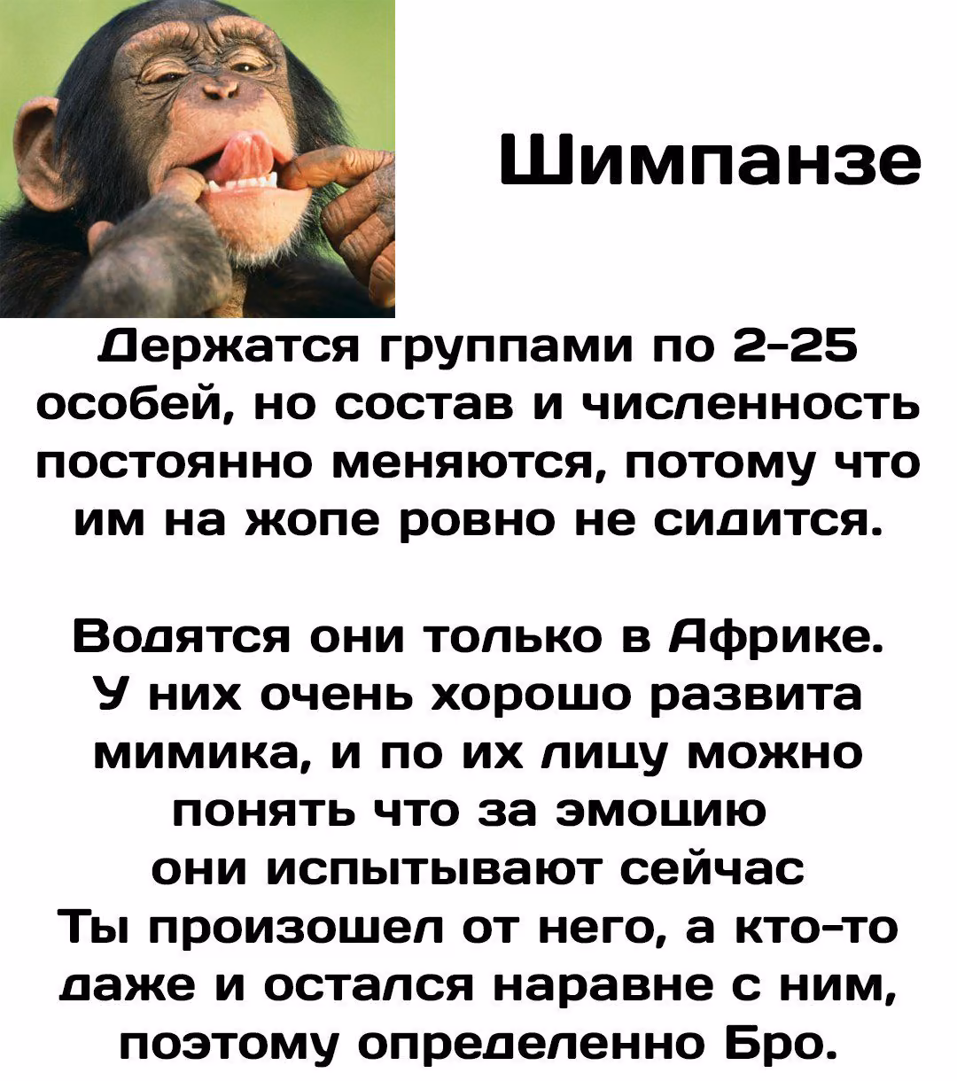 81a33013b0fb6d940ea62b1ef568fcb5.jpg