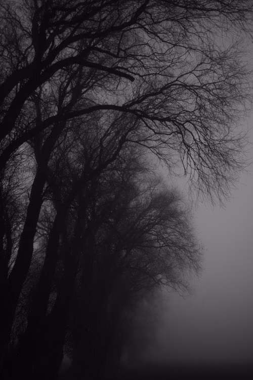 81b080fd4b7ee6e5413a7e53b0994dc7.jpg