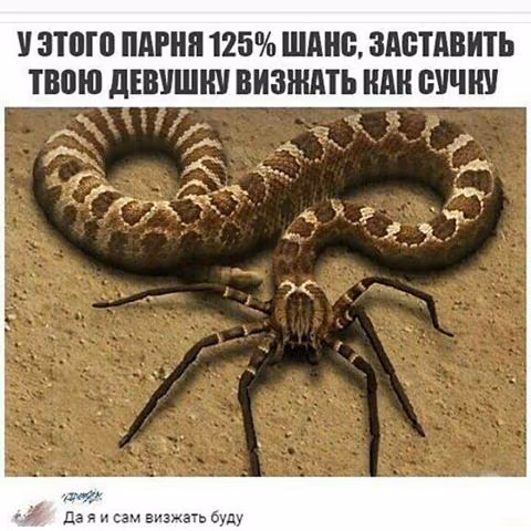 81b9f4bc6a009e0f493fe3419d2fde9c.jpg