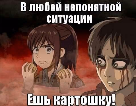81c36c981720d3c779fb2817fe40771e.jpg
