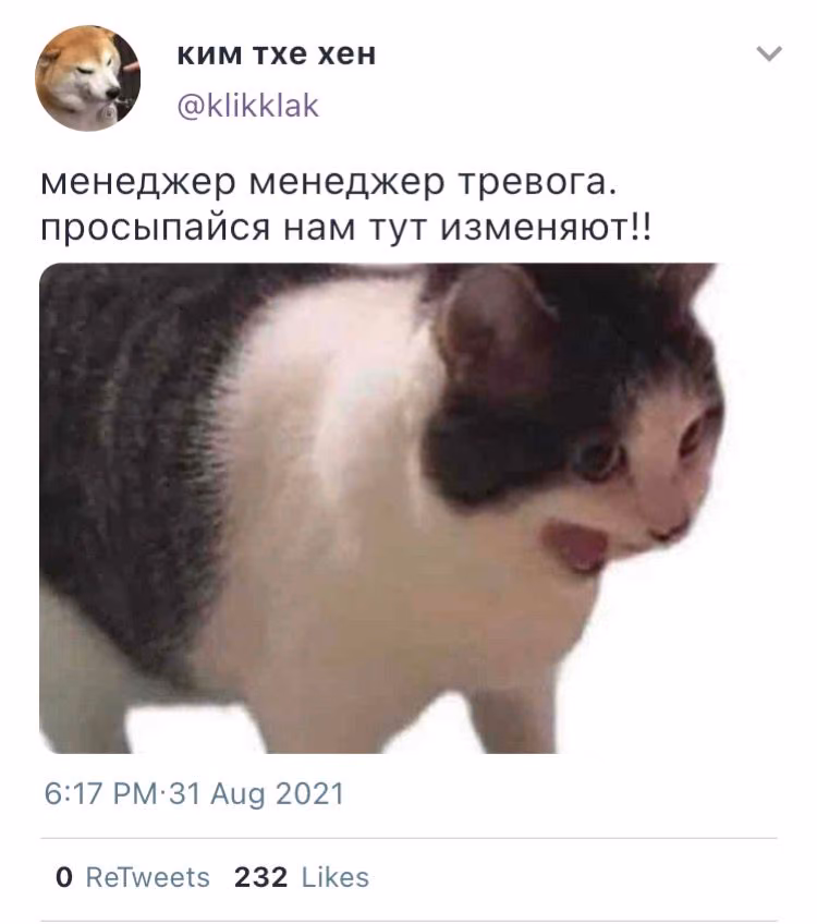 81c80086a2a5d44b08acae4009d4b3fa.avif