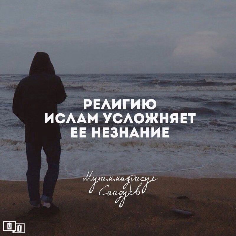 81ca4531404e7aab8b94f277af7a129a.jpg