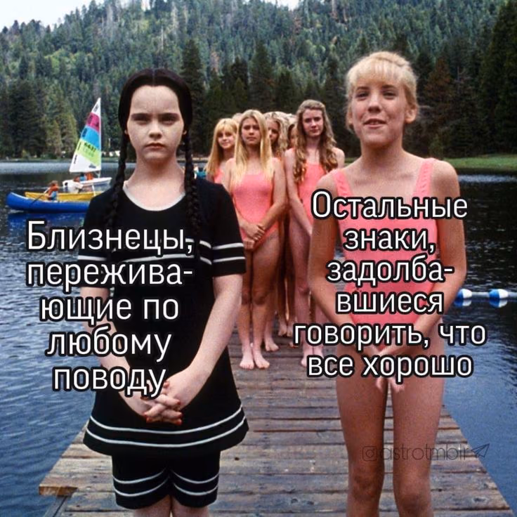 81cae4f337842578e30c04e02ae57452.avif