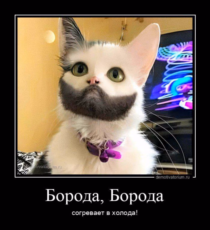 81de62578b02343e420550831e1c6621.jpg