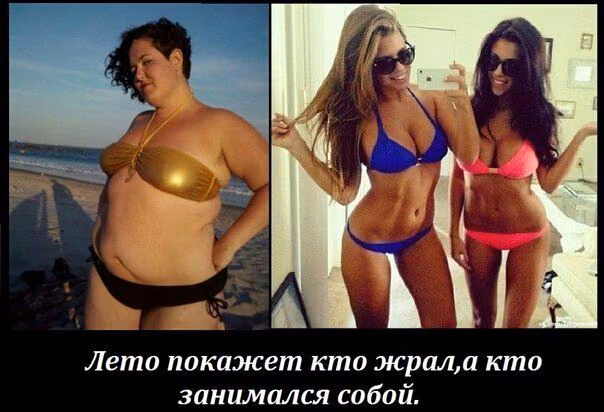 81ebf3f031ba03fe07c337acf468bc5d.avif