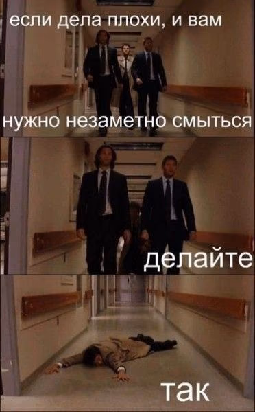 8217c17d6c5a64410e0ec86286b1f325.avif