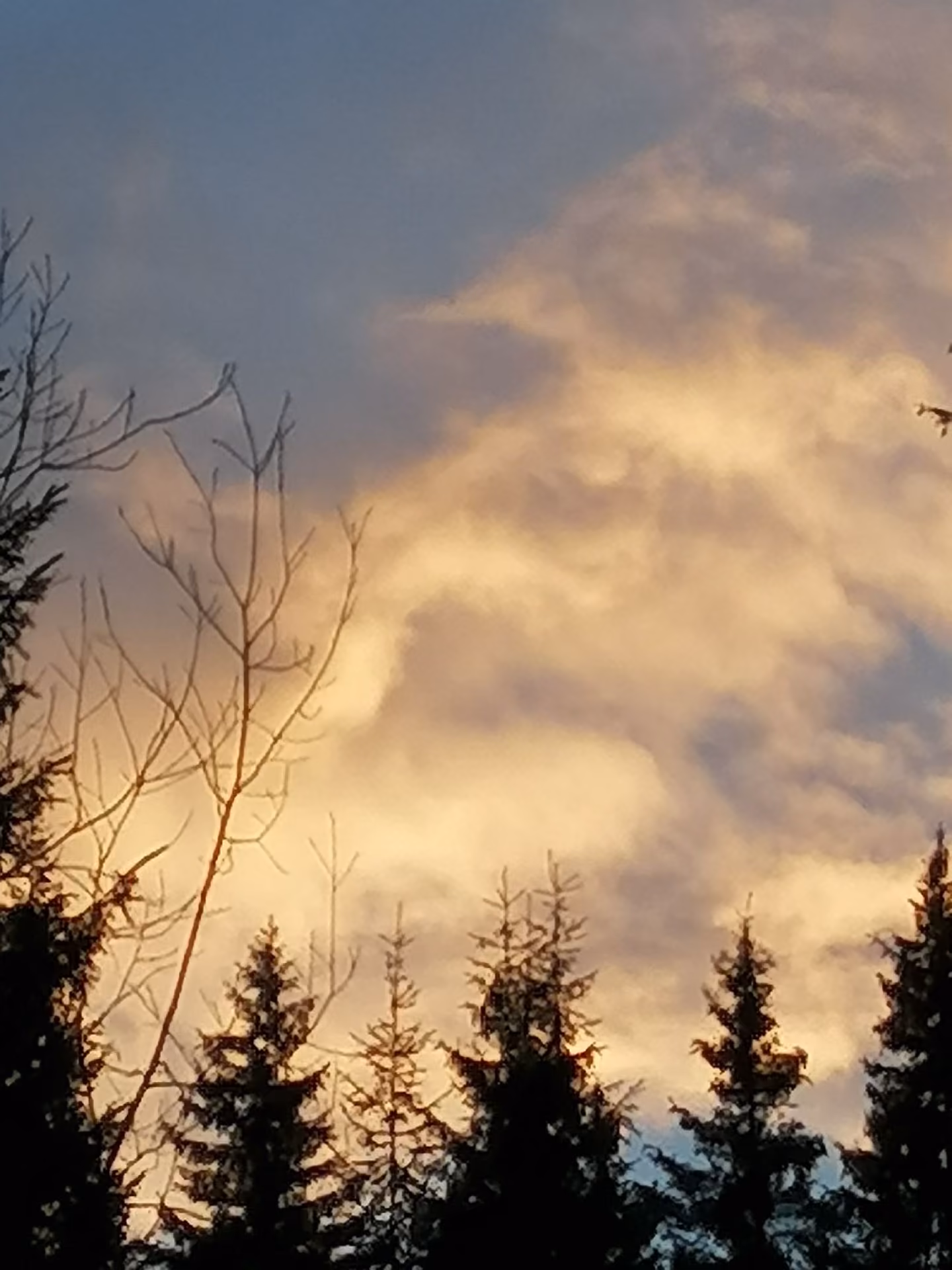 821ab997af3442f40d7f2121d95e6322.jpg