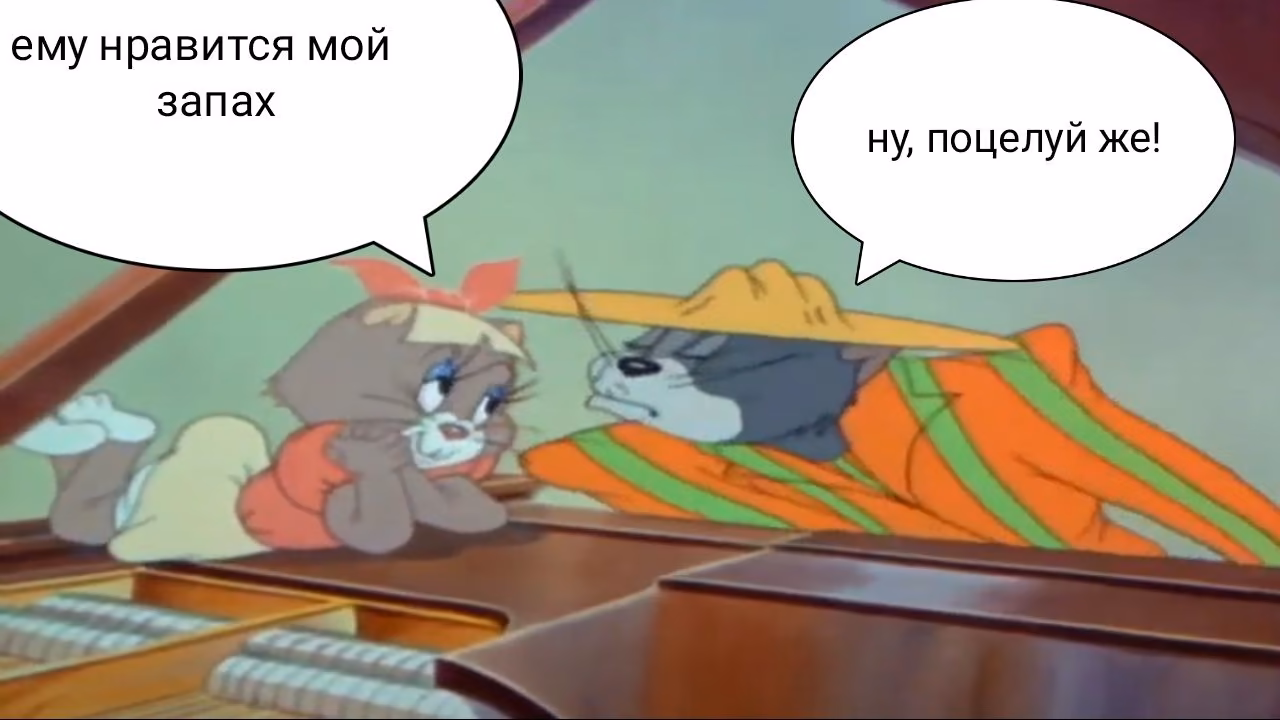 821bc1dc87663723b44e33aac7f876b1.jpg