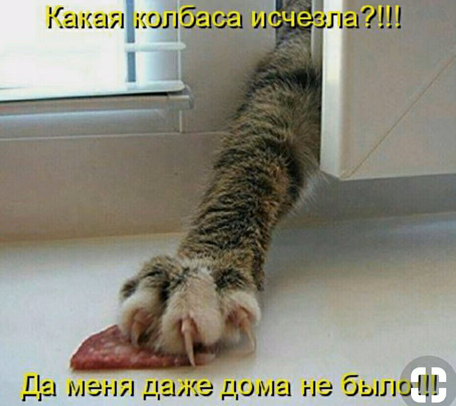82317dcbaf669ec114788246e794ccec.jpg