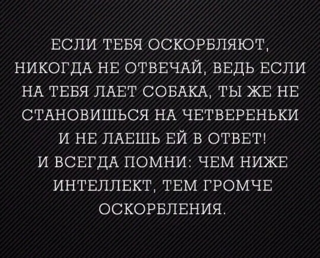 82383f15f6e88585fb8945cecb03578c.jpg