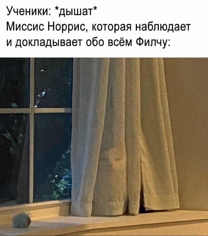 8254e0d9c3260441c20a6ee6bc77f1d5.avif