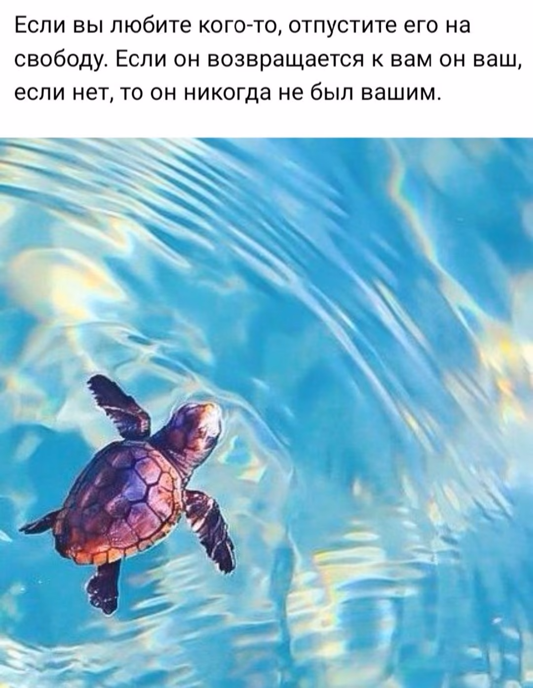82a08d3953aaedba257d1a8ef89fa0c2.jpg