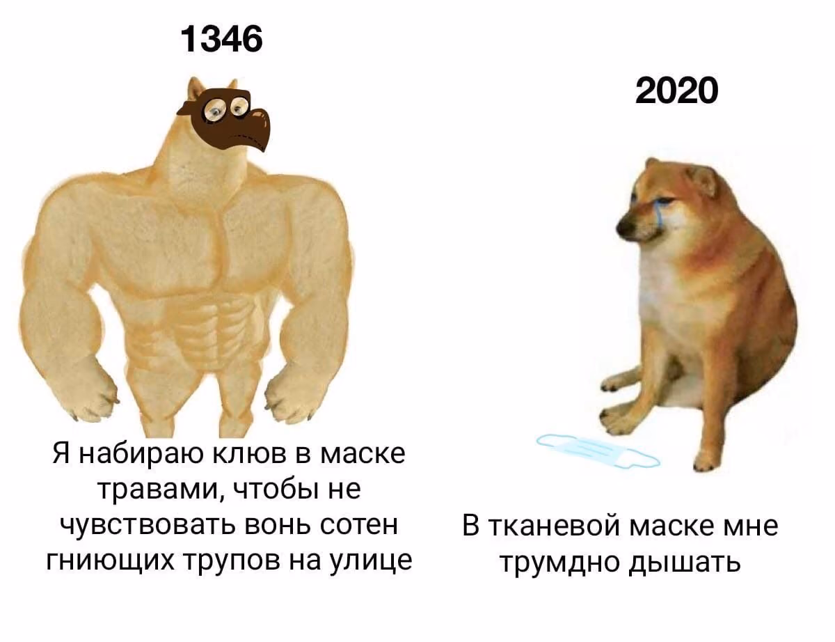 82d0e42f69c2747bf4046433df62ee49.jpg