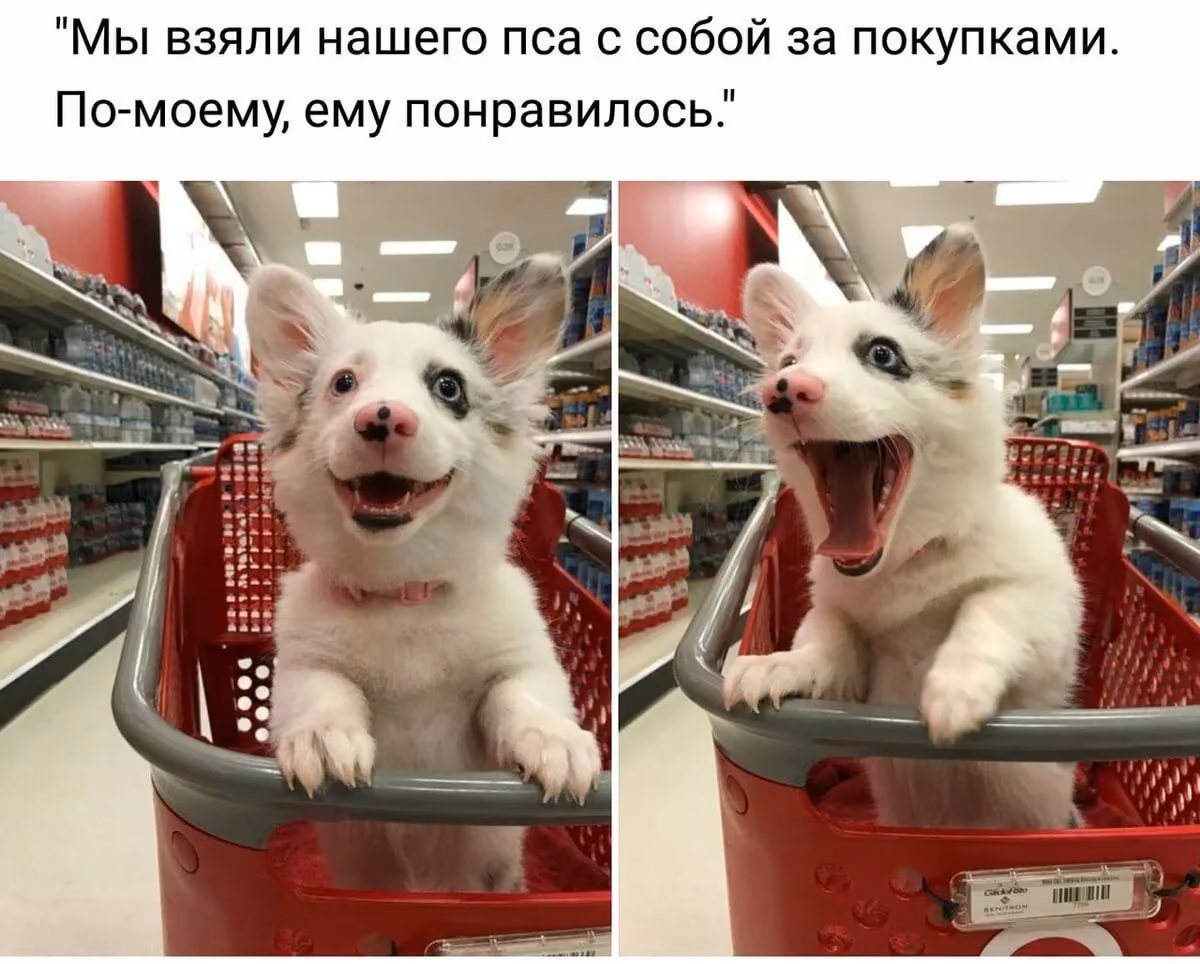 82f0df021a5745d0ac9831dd51b077fa.jpg