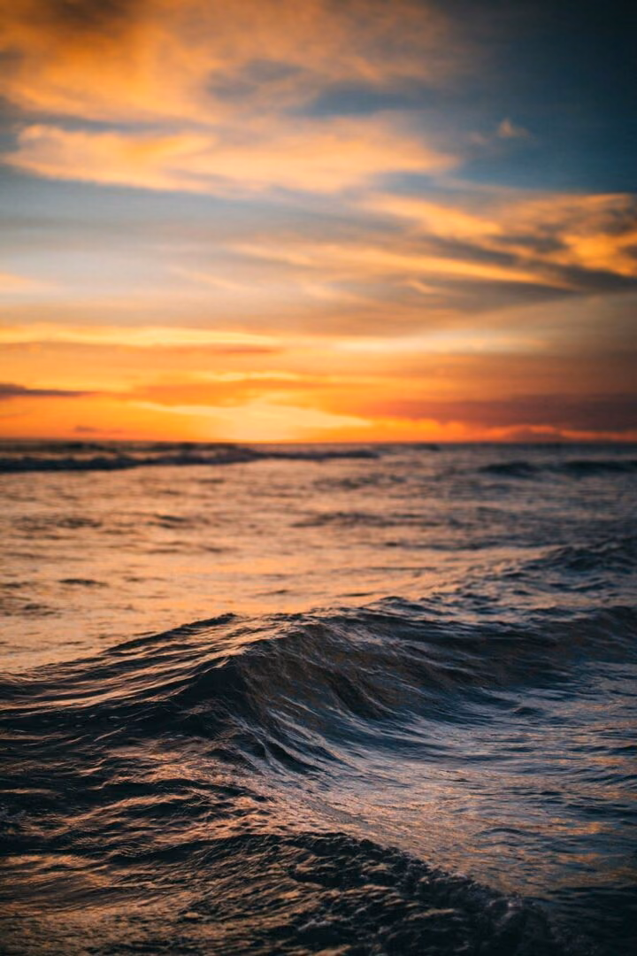82f0e36b1d0cd345e02abfa4d77f0eb0.jpg