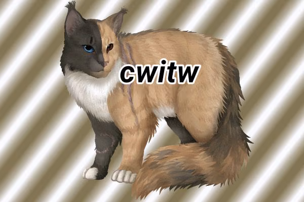 831198ef422d276455a76a8dee140d79.jpg