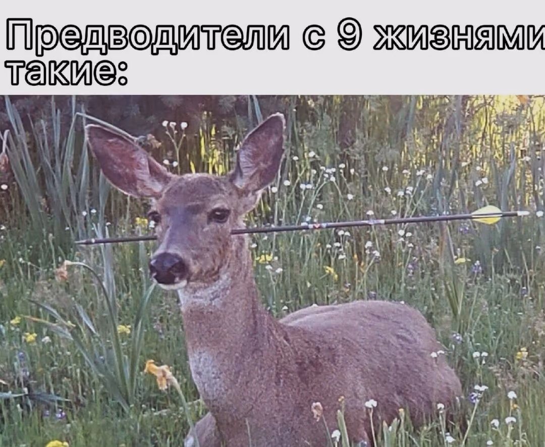 83144c16b40c591f18d8158fec05bfa6.avif