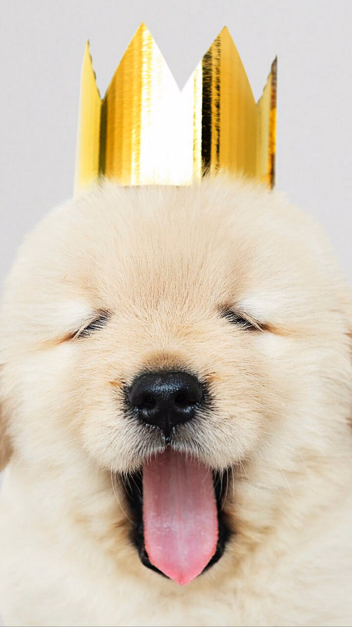 832679ec0d0988e0482de94b2a3d82eb.avif