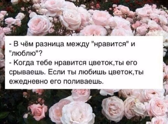 832e6b0b7dd869b513ed4e0c53df3e47.jpg