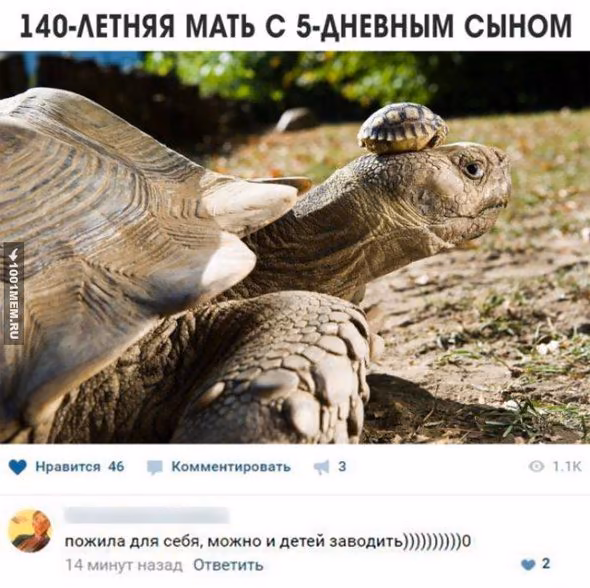 833818ac5f92dd0343a7f2b04e861818.avif
