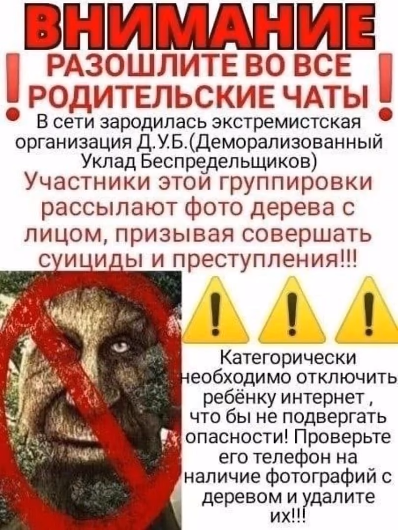 833a84481a1b75e1329a038cc3cb2726.avif