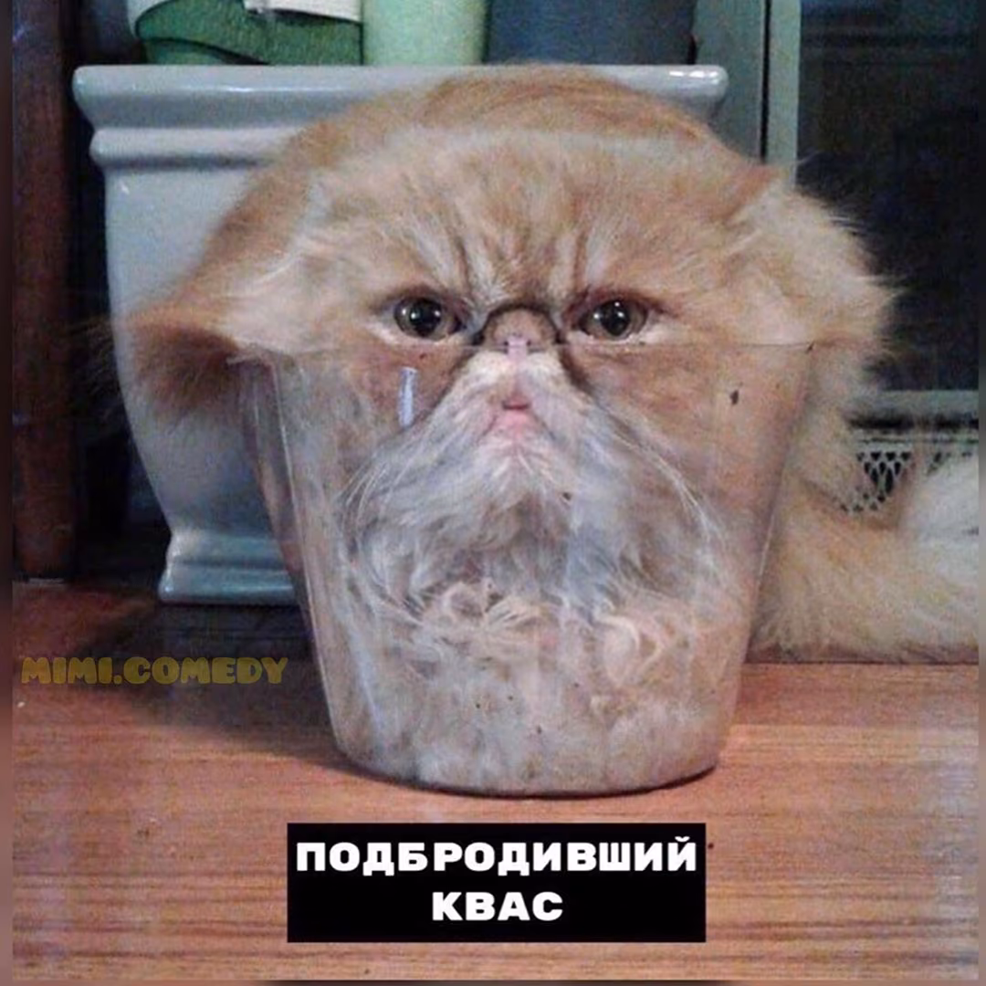833d6af0900ec196227dab06eba1077e.jpg