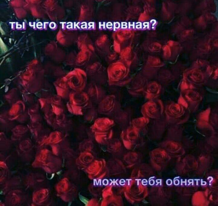 833dd55265020fd724f2c20b39781983.avif