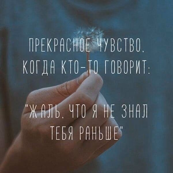 83427107b44f393a93767a433ddd85a8.jpg