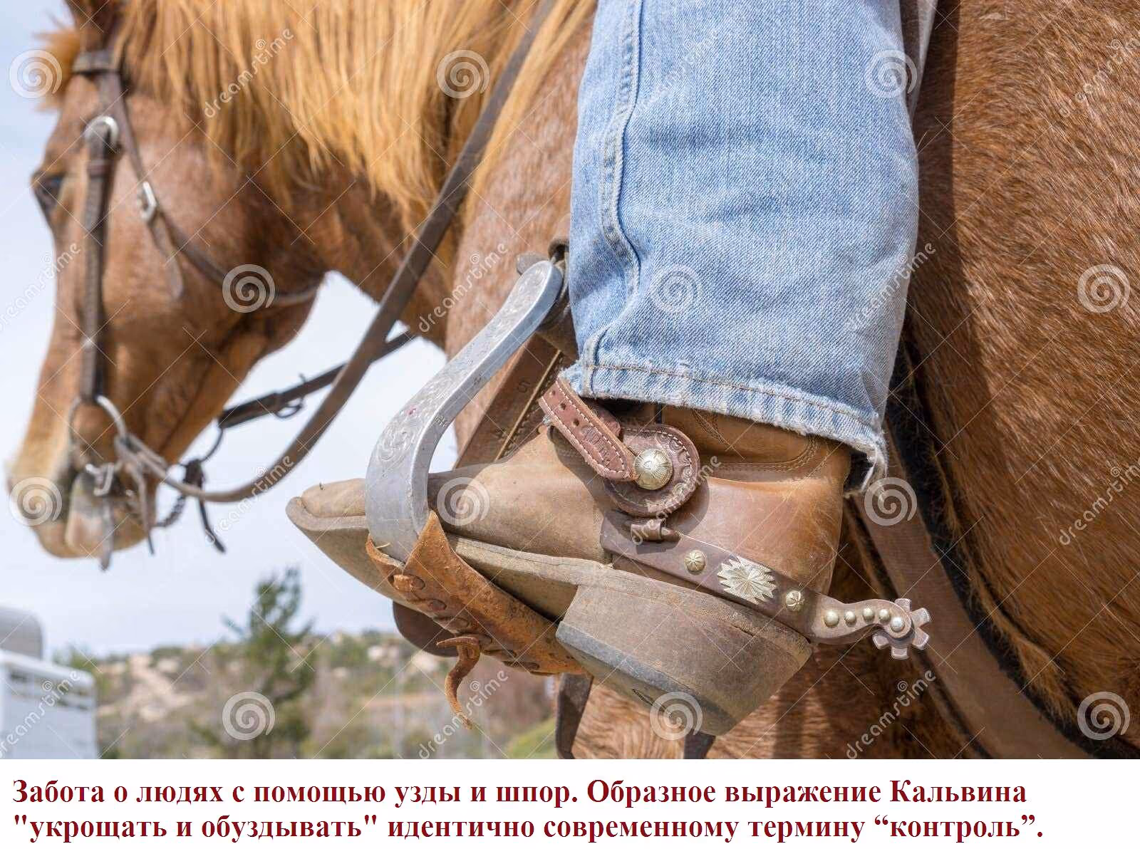 834ab16df10ad6558a85001002e8c5a1.avif