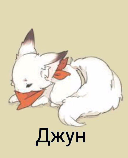 8353718cd2fd67e564920fb043c1740e.avif