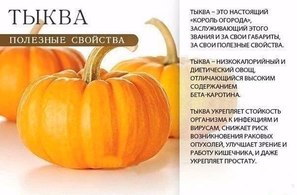 836a03bddd951a1b750e162b55ae8bef.avif