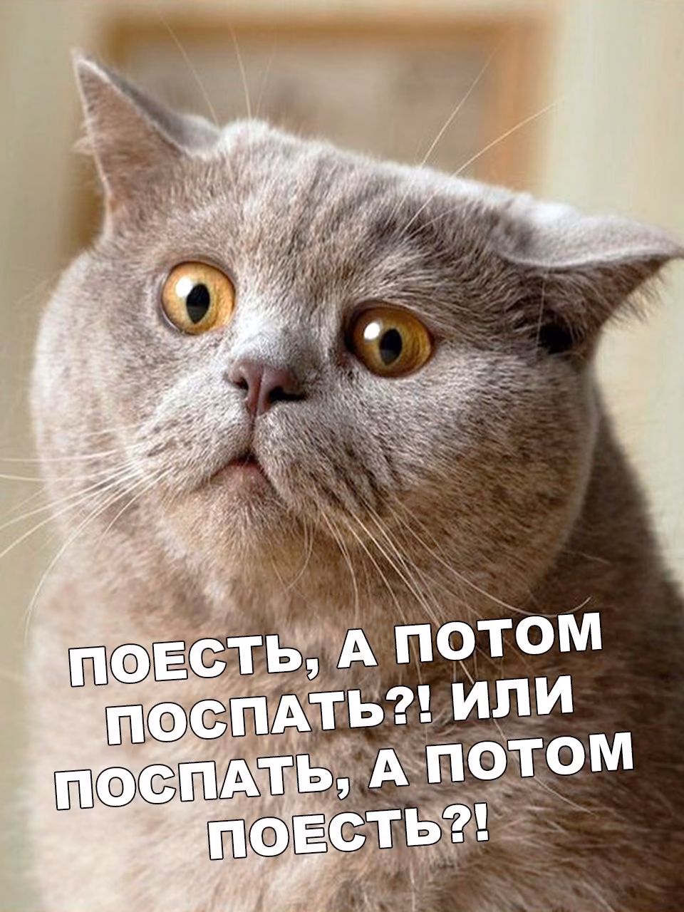 836c3a07808767d938ec1daeea703500.jpg
