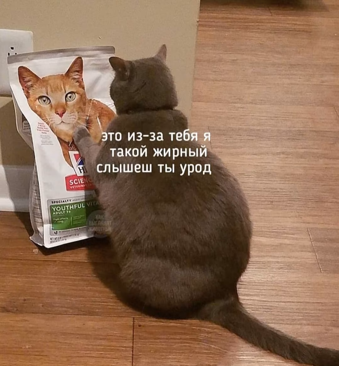 83725b461b83495fdbf2dc96269bb6d0.avif