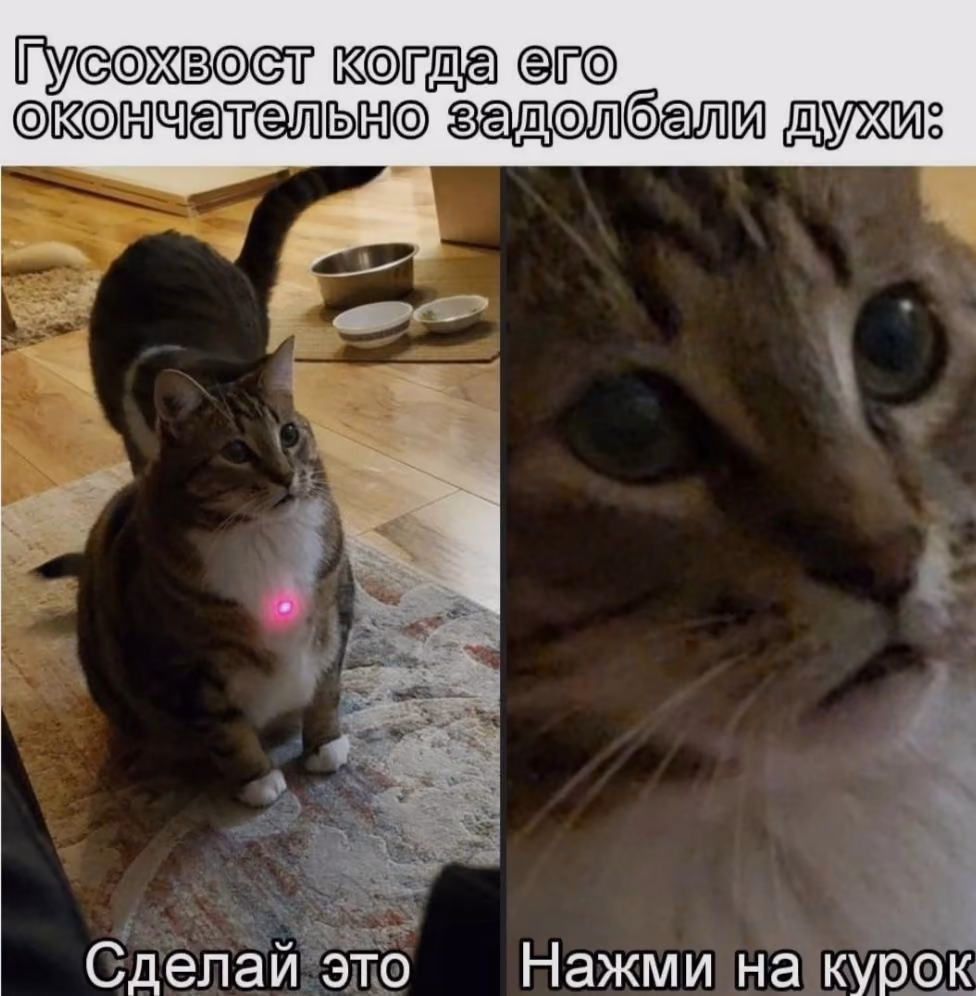 837e0de48761936370c0bb0fe4a43c9a.avif