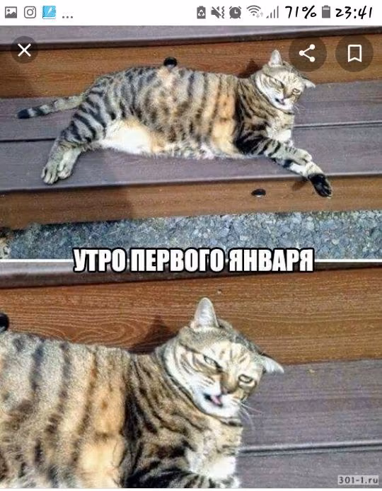 837faf3aaa7e51565445a0e299d5cd52.jpg