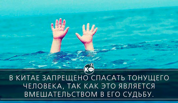 83877fd9d97d856a2b0069e0ebfa599b.avif