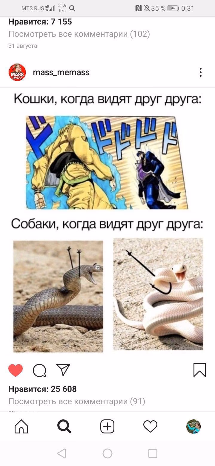 838a26da4d77e8da55ea09d9a0aee4c4.avif
