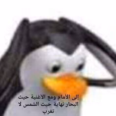 839a162f1ce479377bcc6edc07c31b39.jpg