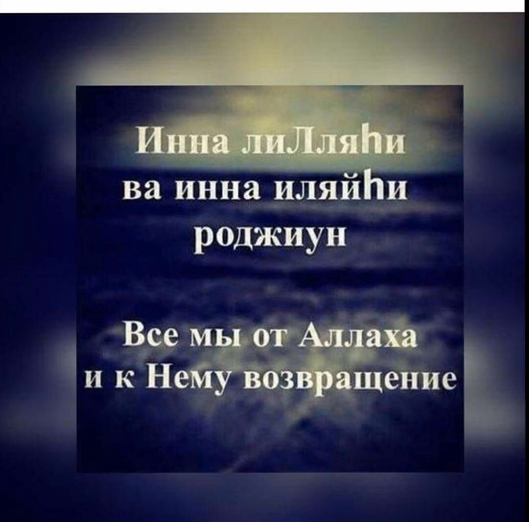 83ae12bf6c91dbc17acfa1bcd5992e3e.jpg