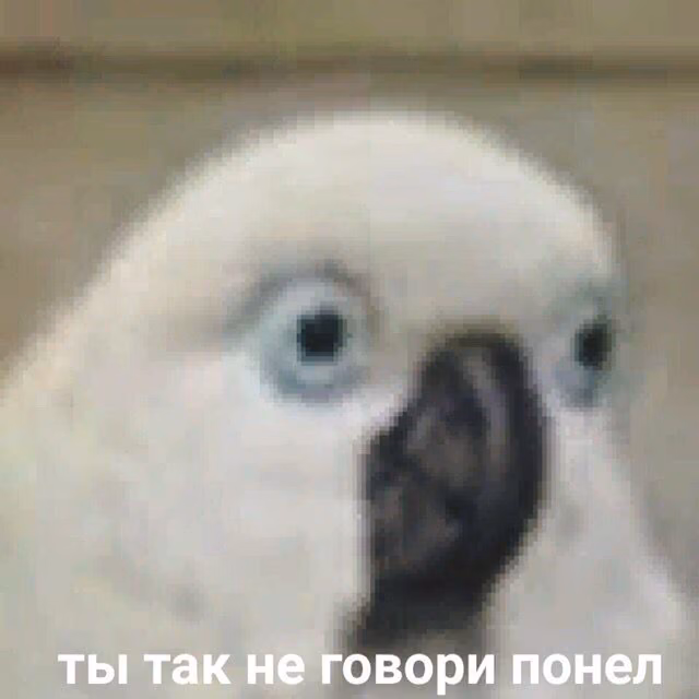 83ae4880e64bc7aa8183f60abd9e0608.avif
