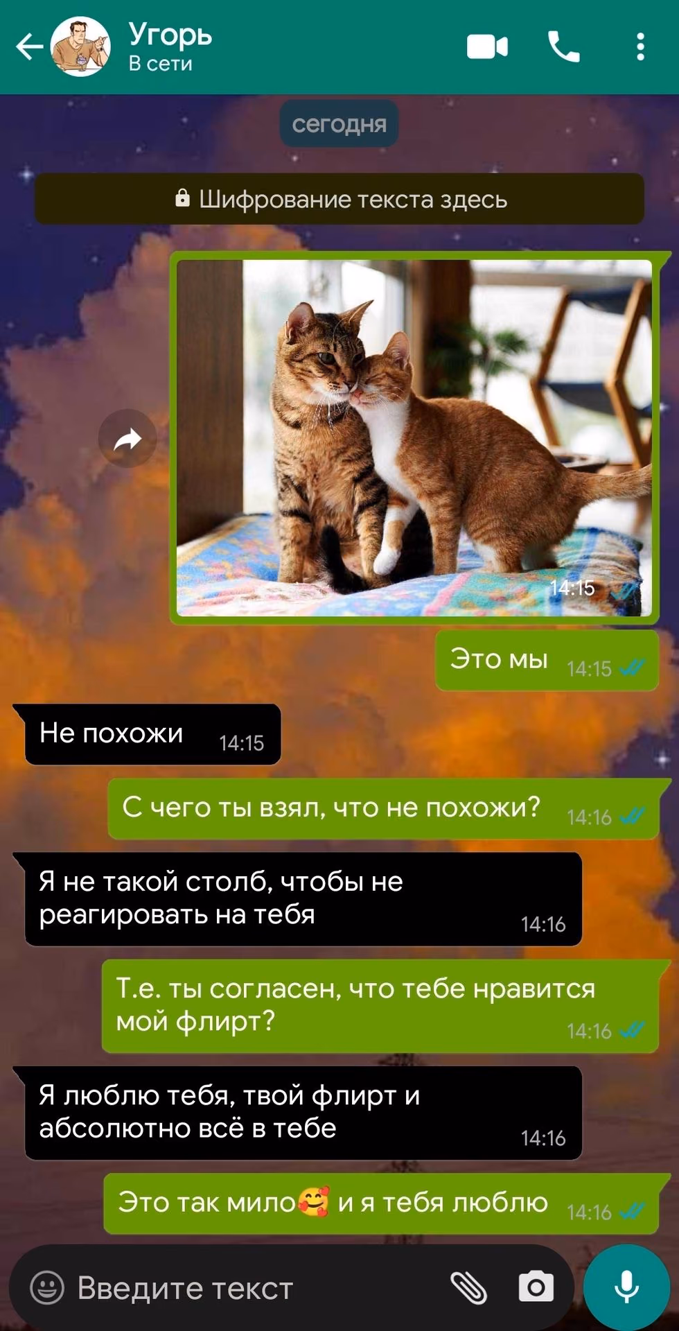 83b5c9d697d7c0f3ffc9362755b71a06.avif