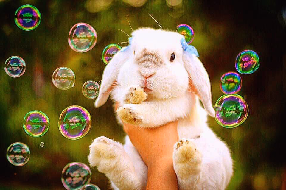 83b84d50bbe94f2e3cc8824c5f128de4.avif